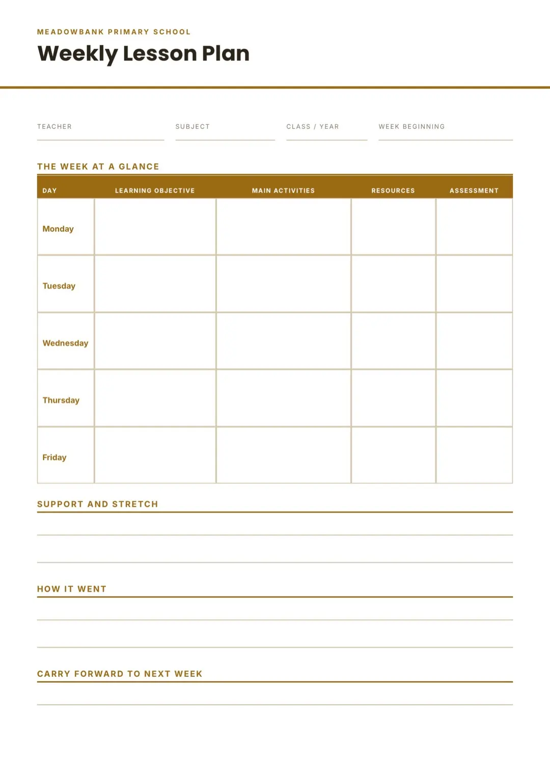 Amber Professional Lesson Plan Template